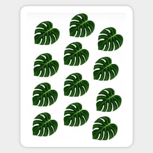 Leaf Design Sticker